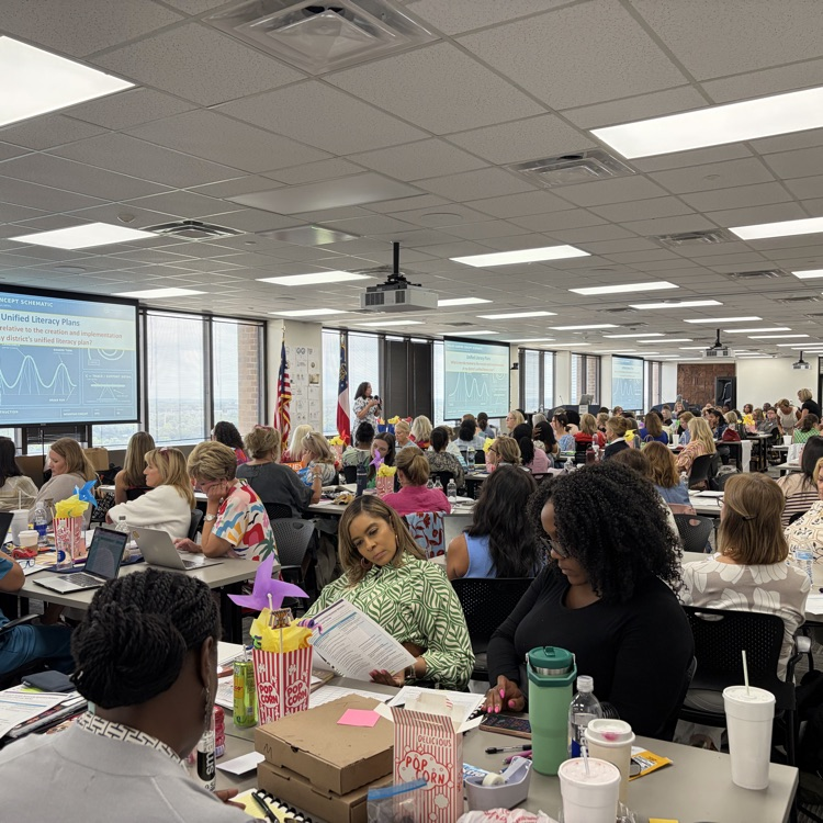 literacy coaches collaborated