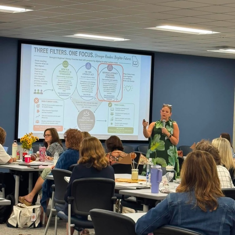 Literacy Coach Collaborates