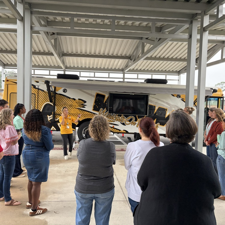 WOW Bus Tour