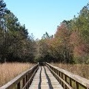 Grand Bay boardwalk