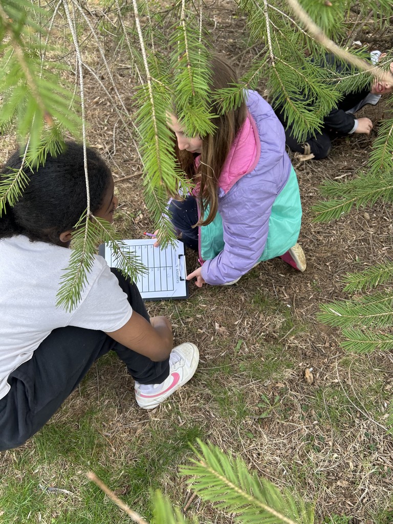 3rd grade egg hunt