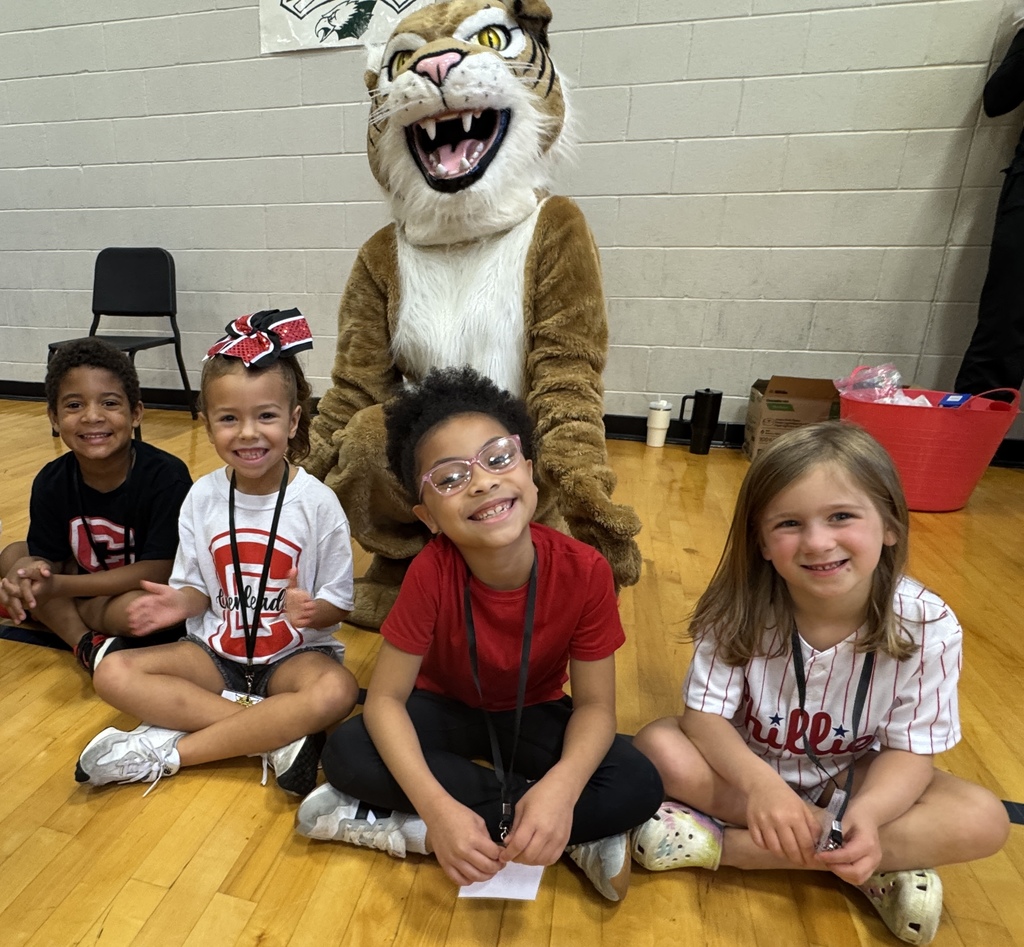 PBIS Game Participants and Wildcat