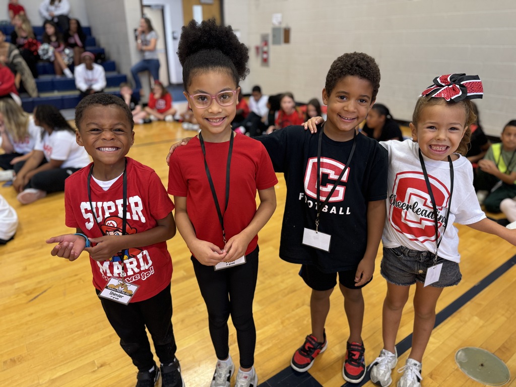 PBIS Game Participants