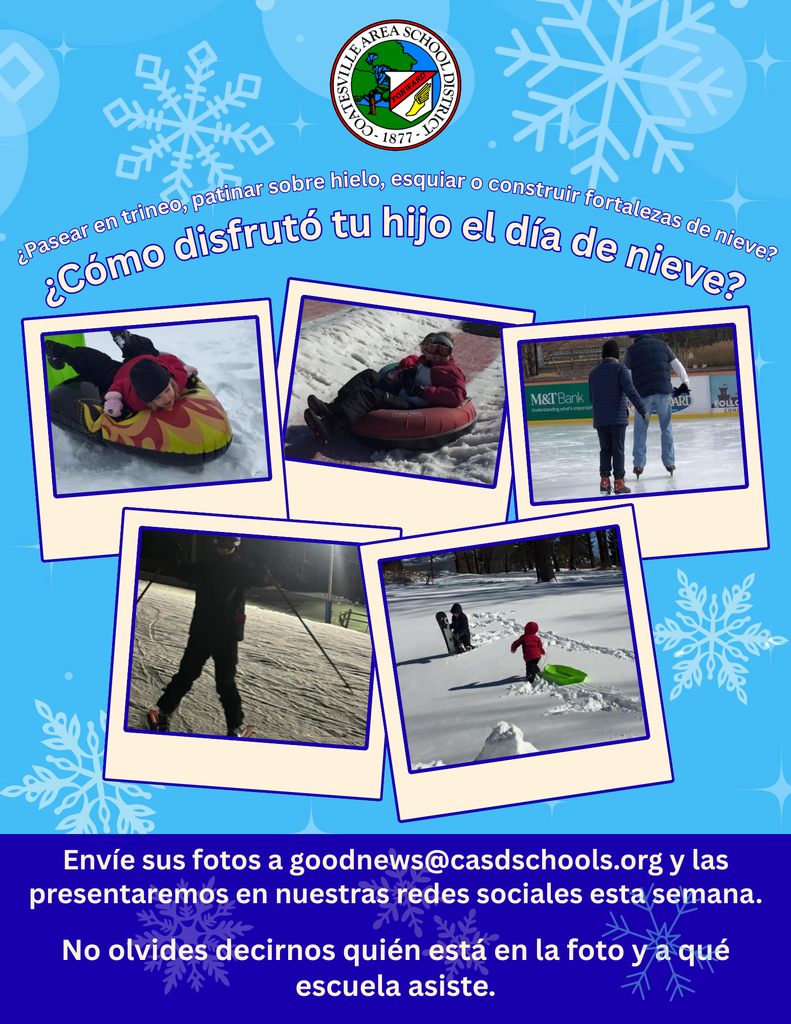 Snow Day Pics (Spanish)