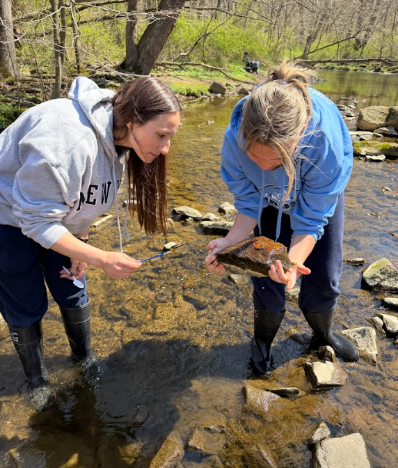 Students conducting environmental sciences experiments at Hibernia Park #2