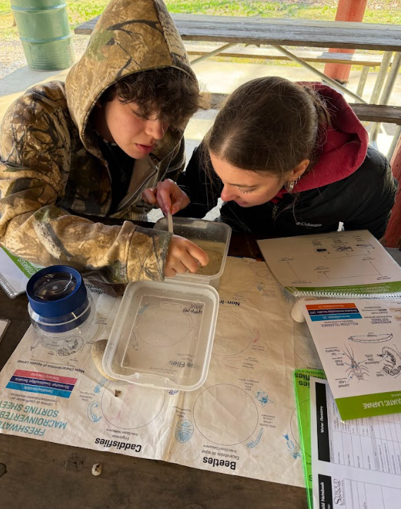 Students conducting environmental sciences experiments at Hibernia Park #4