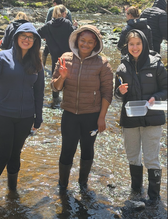 Students conducting environmental sciences experiments at Hibernia Park #9