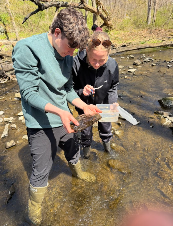 Students conducting environmental sciences experiments at Hibernia Park #8