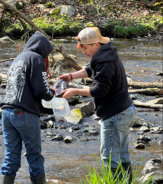 Students conducting environmental sciences experiments at Hibernia Park #5