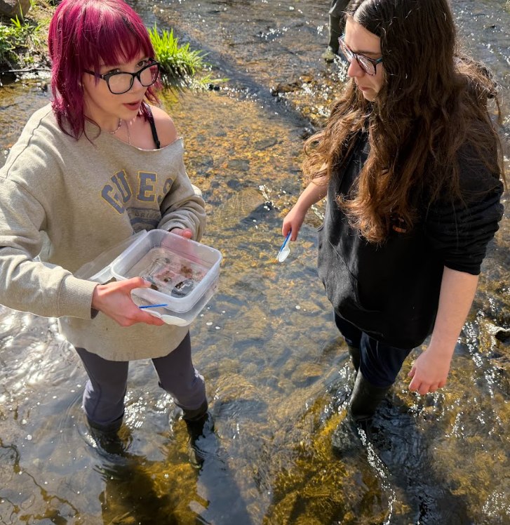 Students conducting environmental sciences experiments at Hibernia Park #10
