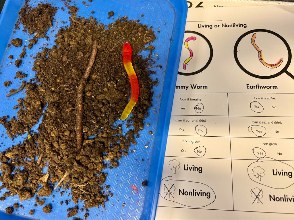 Mrs. Pandosh's living vs. nonliving lesson pic #1