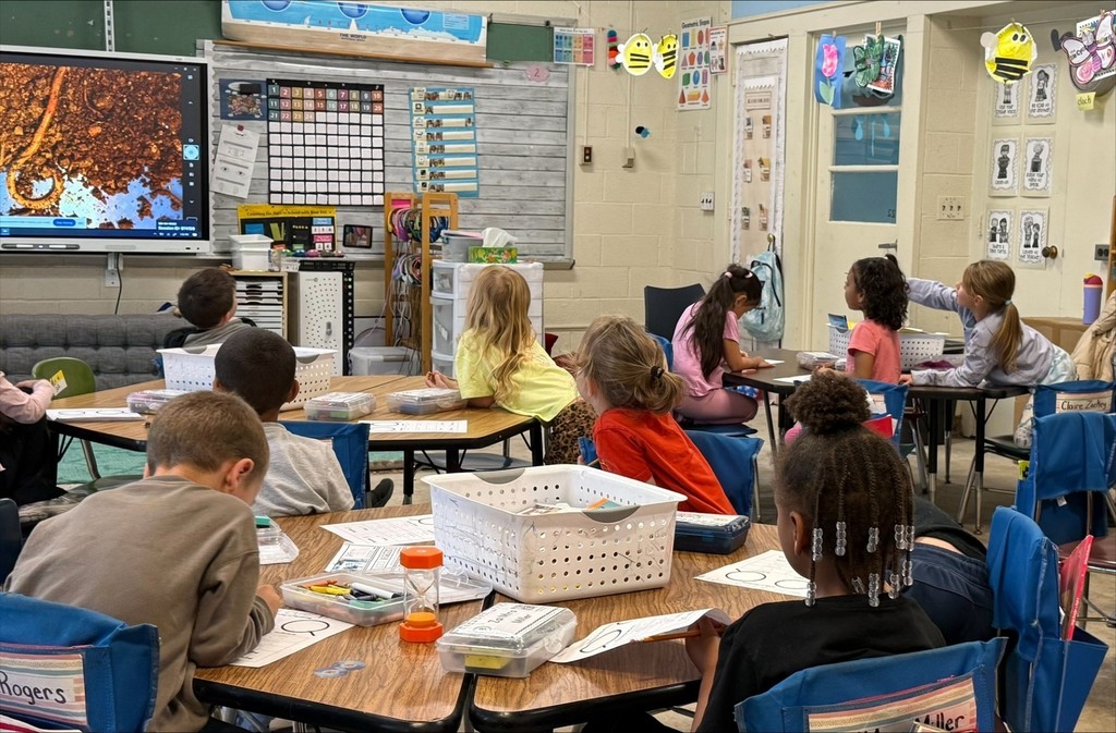 Mrs. Pandosh's living vs. nonliving lesson pic #2