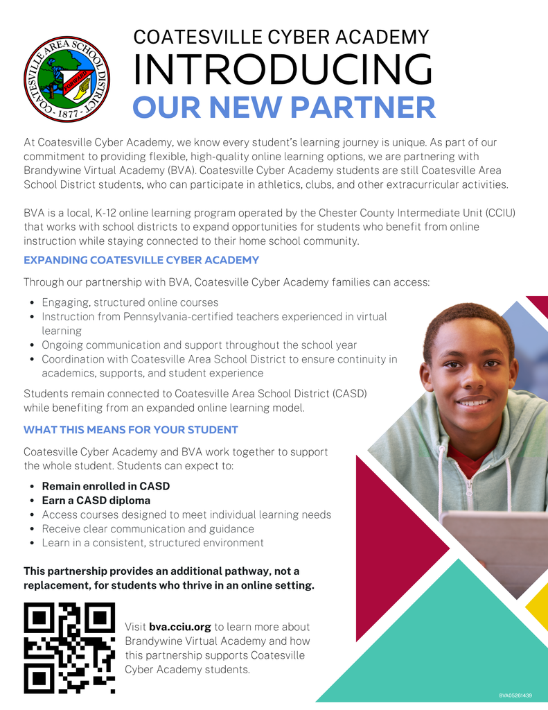 BVA Cyber Academy #2 (English)