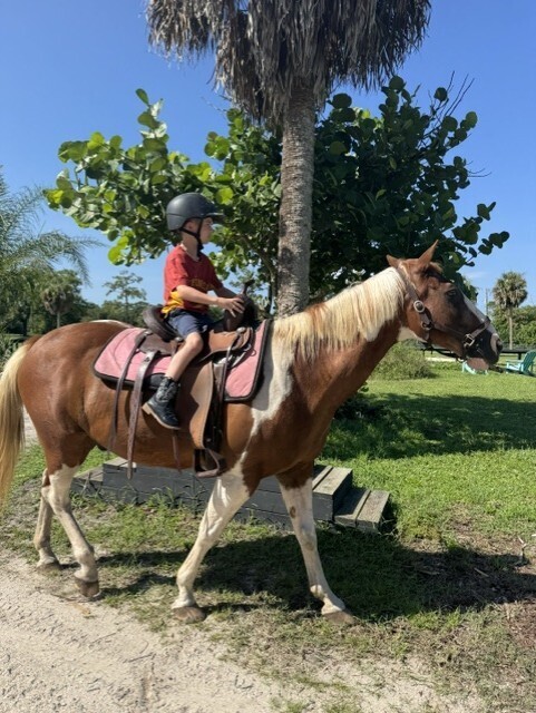 Brown 2026 FL Vacation pic #2