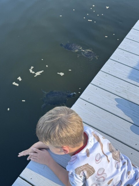 Brown 2026 FL Vacation pic #4