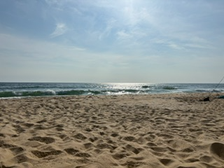 Charest Summer Vacation SS 2026 Pic#2
