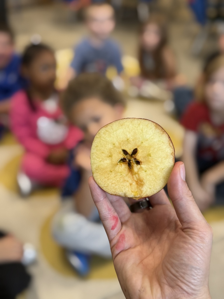 Pandosh_King's Highway_Apple Week Lessons pic#4