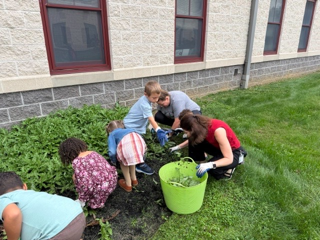 Chrisman Garden Club Meeting at Rainbow on Tuesday, September 29 pic#4
