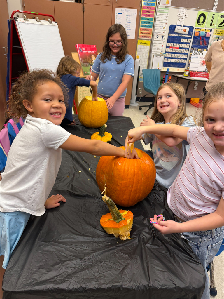 Rainbow Elementary Gardening Club October 2026 meeting making pumpkins into planters for fall mums pic#2