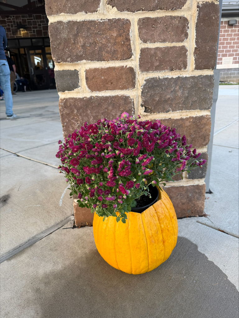 Rainbow Elementary Gardening Club October 2026 meeting making pumpkins into planters for fall mums pic#8