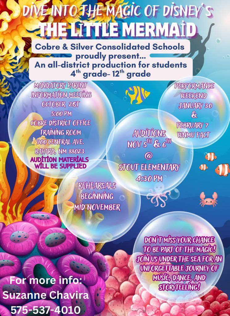 Little Mermaid Information