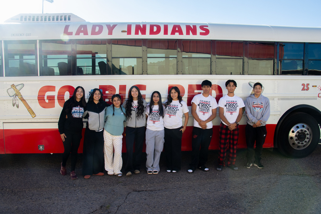 CHS Cross Country Statebound