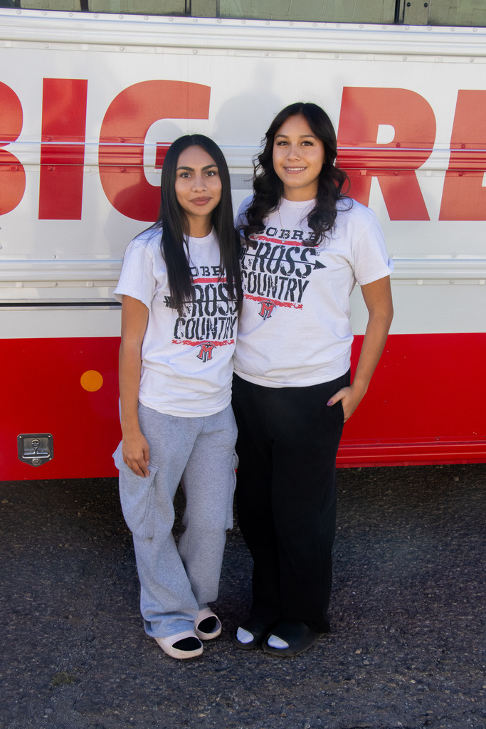 CHS Cross Country Statebound