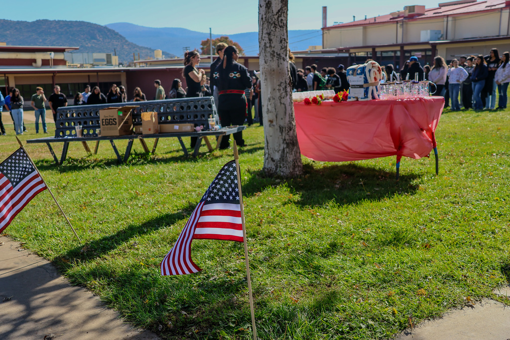 Field of Flags