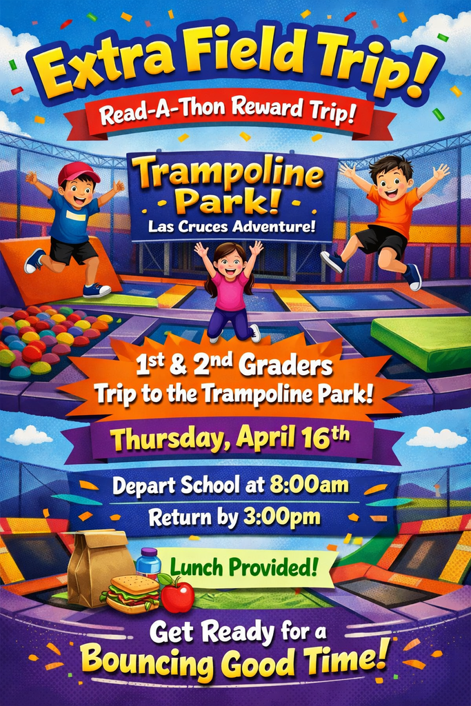 Trampoline park field trip