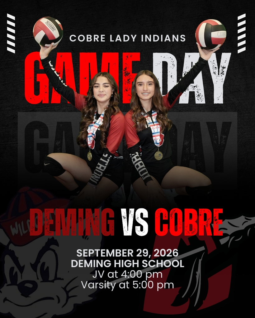 VB Gameday