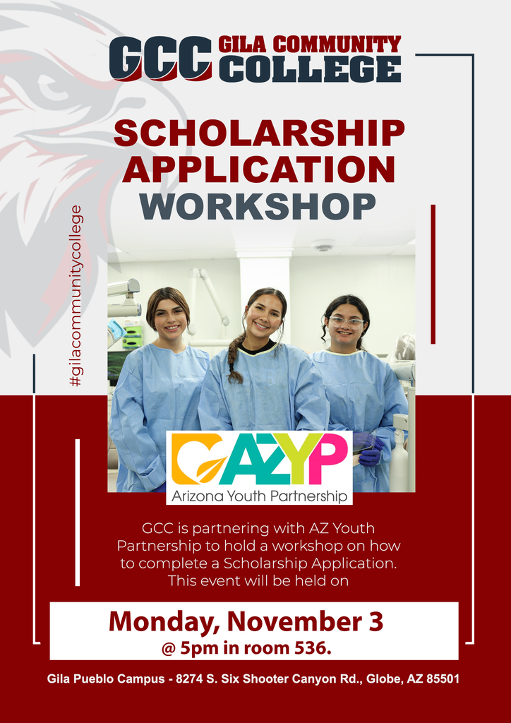 ArizonaYouthPartnership_Flyer