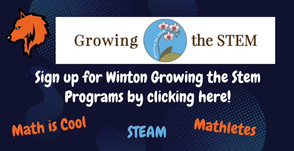 Growing the Stem