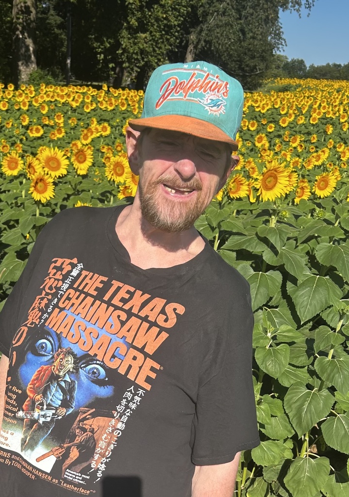 sunflower fun