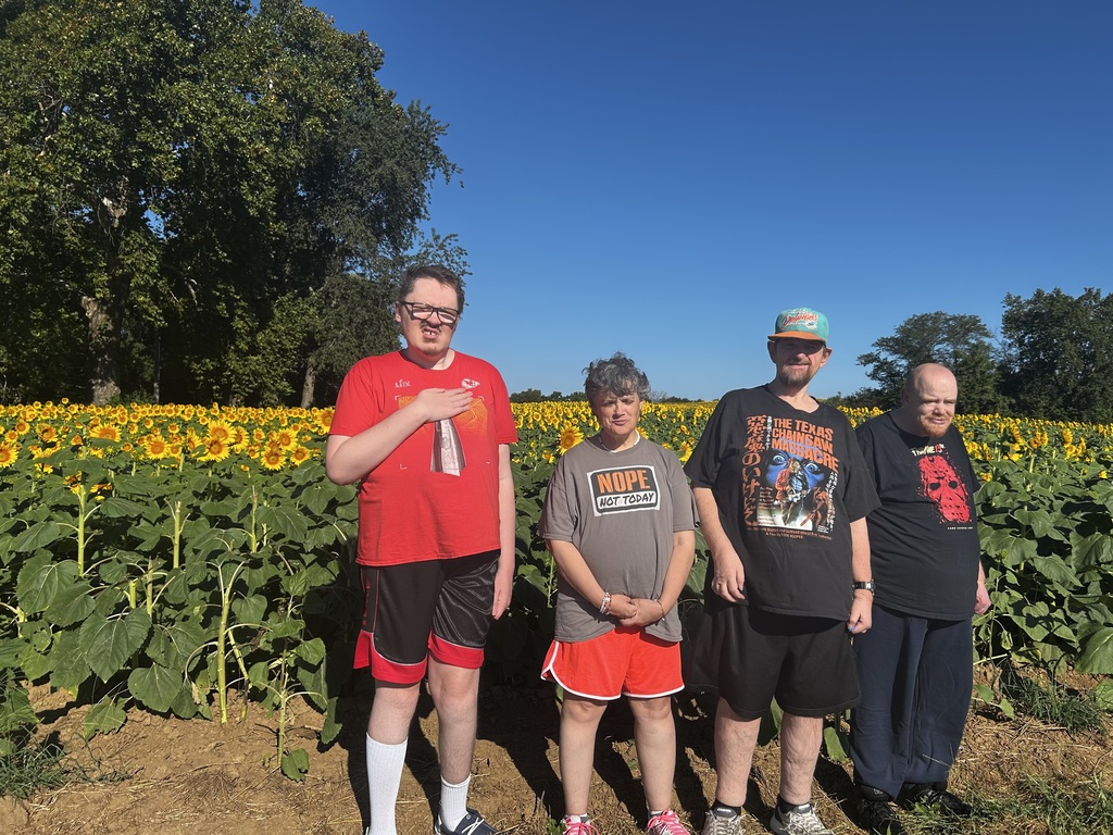 sunflower fun
