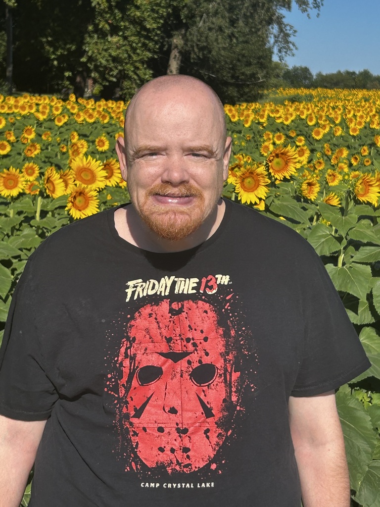 sunflower fun