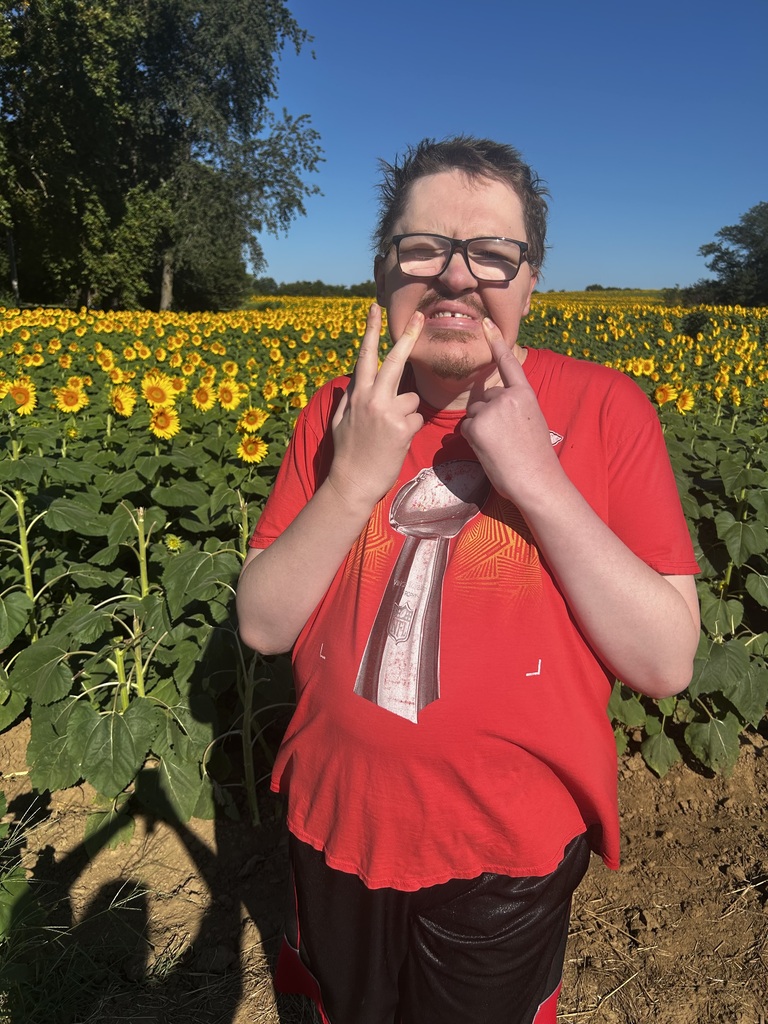 sunflower fun
