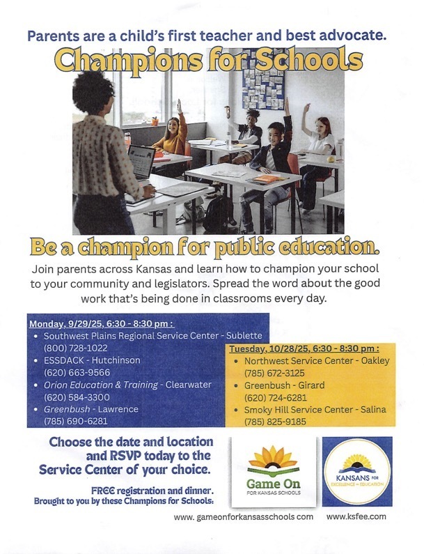 Champions for Schools Flyer