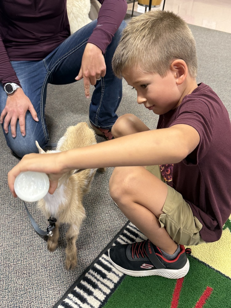 Superintendent's Weekly Newsletter
