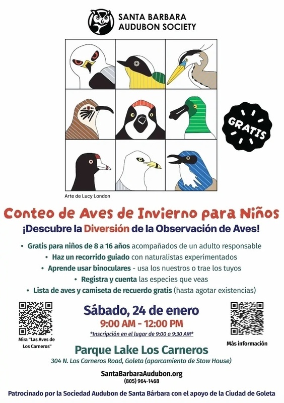 winter bird spanish translation