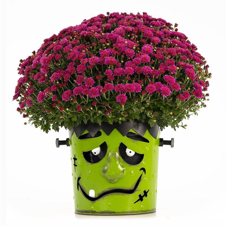FrankenMum