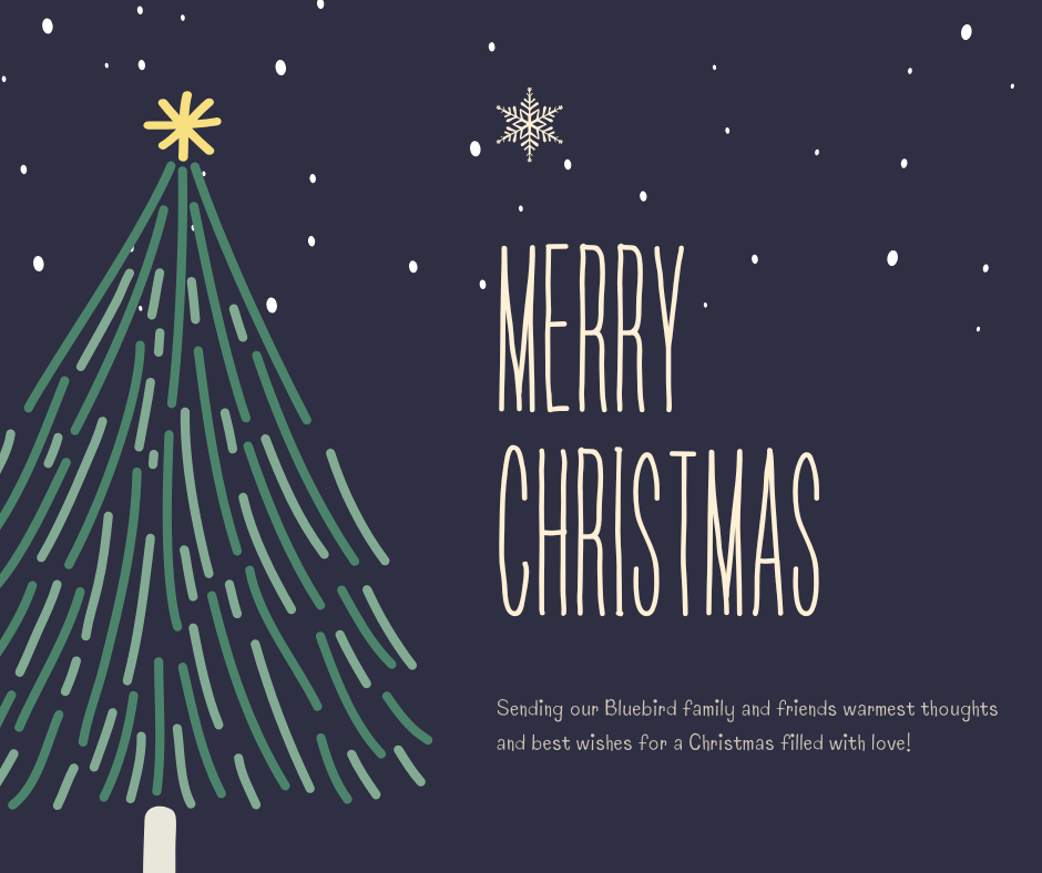 Sending our Bluebird family and friends warmest thoughts and best wishes for a Christmas filled with love!