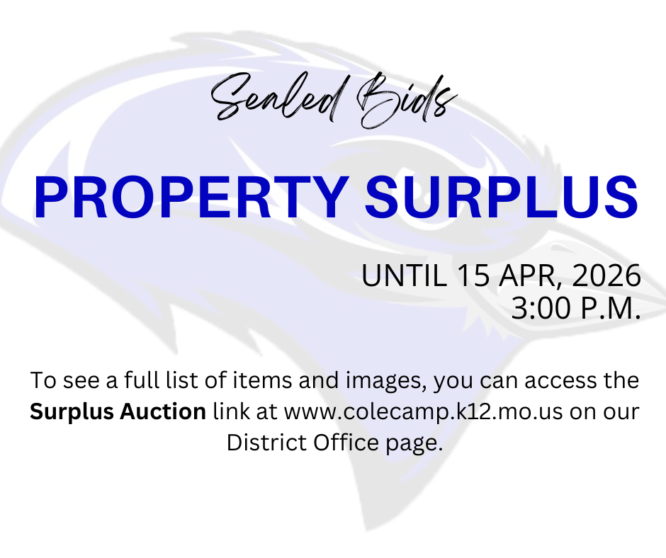 Surplus Auction Details