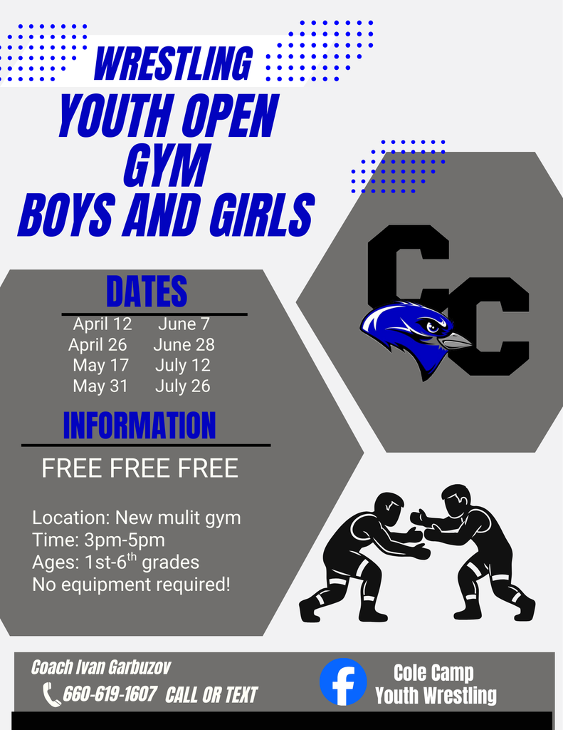 Wrestling Flyer