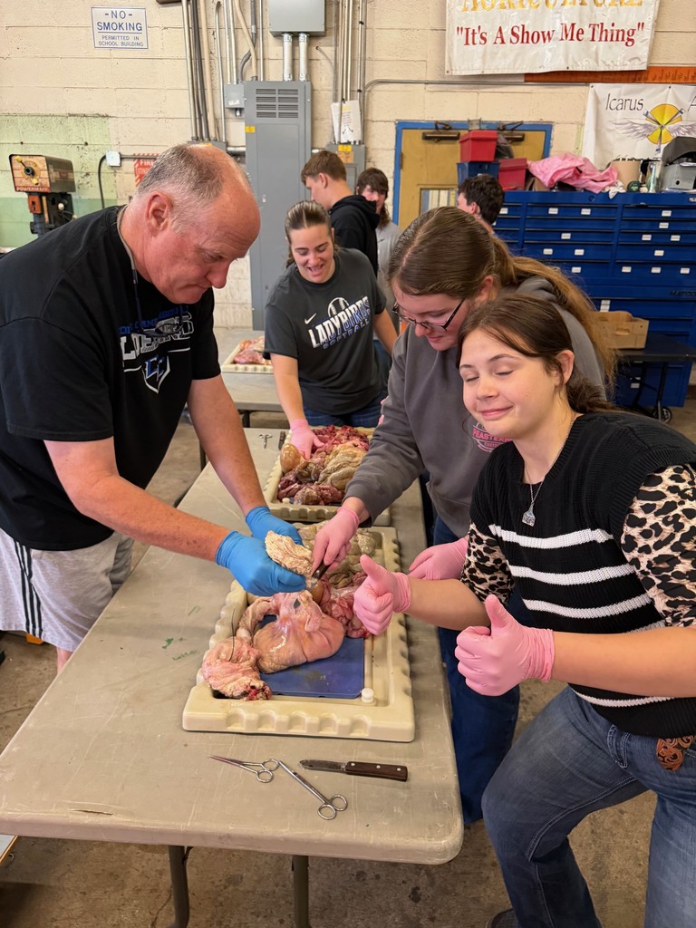 Students dissecting monogastric digestive systems in Ag Science 2 class today.