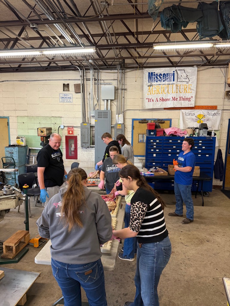 Students dissecting monogastric digestive systems in Ag Science 2 class today.
