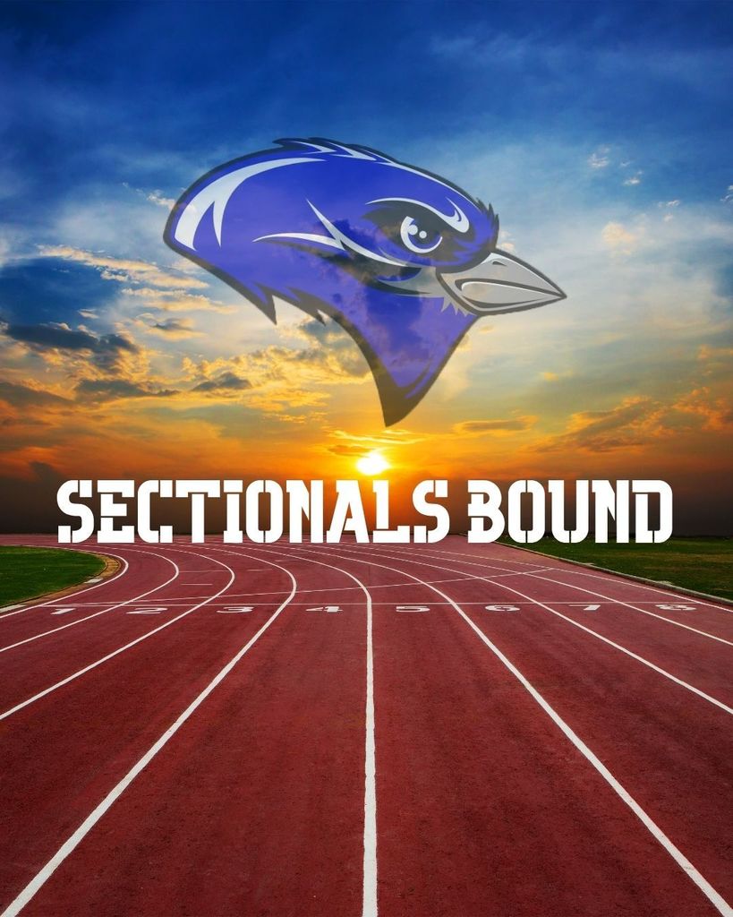sectionals