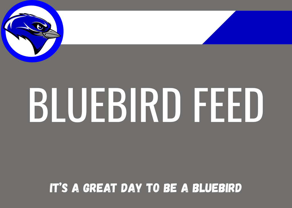 text saying Bluebird Feed, It's a great day to be a bluebird  with the Cole Camp bluebird logo