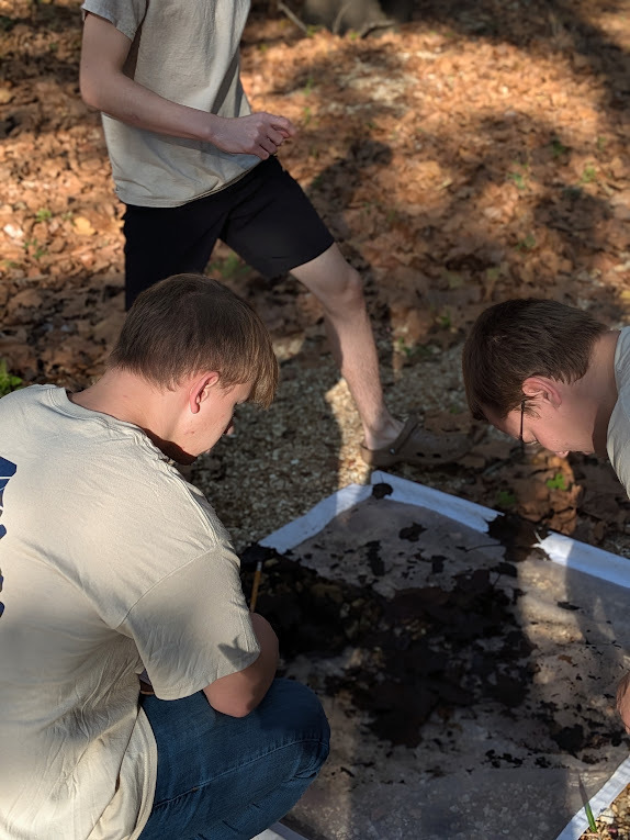 Jaxon Alleman and Carson web pick macroinvertebrates out of a net.