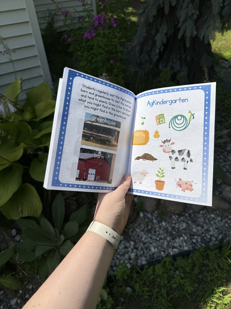 kindergarten activity book
