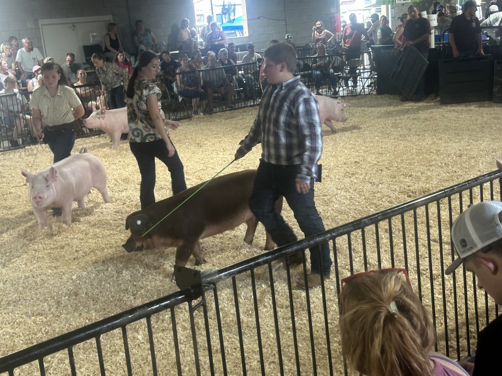 zaskes at fair